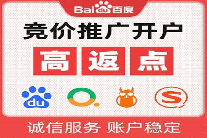 SEM外包服务优势案例分析